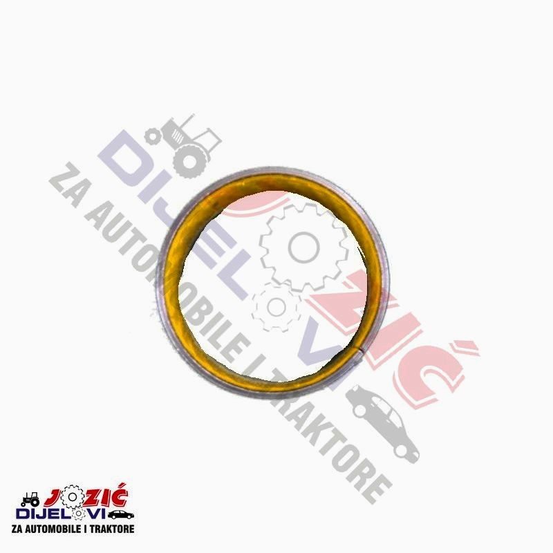 Daisy on the Ohoopee